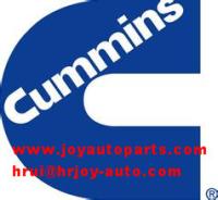 cumminsvivi